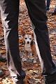 Wandeling van Monke en Judith op 21-10-2012 (61)